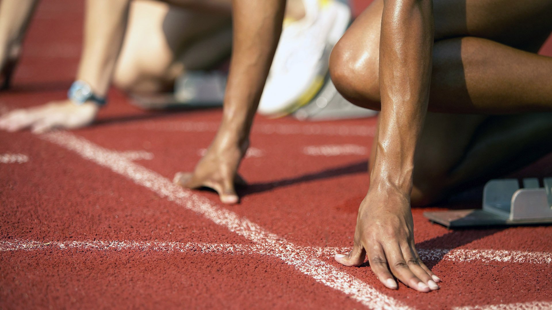 日本传统马术赛事“Sinjska Alka”在2024年成功举办，吸引众多观众参与。